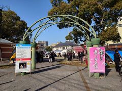 別府八湯温泉まつり