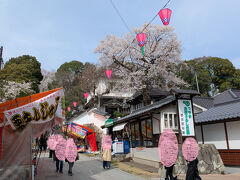 １４：００
「津山桜まつり」が開かれている津山城（鶴山公園）に到着。
まず階段上ります。