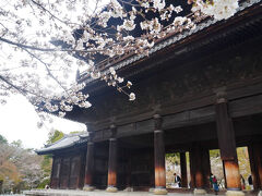 6番目の目的地は、南禅寺です。立派な門の前に桜が咲いています。