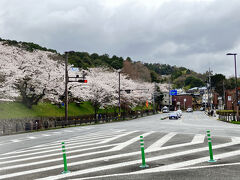 2025.4.4　金　AM8：41　インクライン
この場所は三条通りで東海道にもなり、蹴上、九条山、三条別れと言って江戸時代、15000人程処刑された。京都に入って来る人に見せしめの為に処刑。
罪人やキリシタンなど無実な人も殺されている。京都の人口が当時20万人ですから相当な人になります。