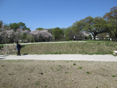 市立歴史公園 武蔵国分尼寺跡