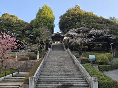 4月5日
今日も朝からいい天気で、さくら散策に出発しました