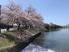 天神から歩いて福岡城へ
桜が散りかけていて花筏がきれいでした
