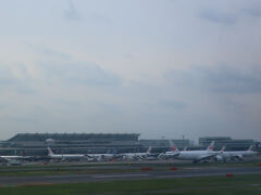 FM895便は、
羽田に定刻よりちょっと早く15:30に到着です。
羽田のこの時間はかなりの混雑。
荷物も前のANA便の荷物が遅くて
この便の荷物が出てきません。
ANAは全部ターミナル2へ行っちゃえばいいのに・・・

でも羽田のおかげで20分ちょっとで帰宅。
突然の雷雨もギリギリ回避できました。

こうして、ドア付き個室ビジネスを満喫も
今回ももしかして上海から帰れない？
13年前の悪夢再びと思いきや
きちんと振替で羽田に帰って来られた
中国東方航空＆上海航空でカイロから帰国旅はおしまい！
