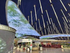 カイロでは、上海→成田の搭乗券は
発券できないというので
乗り継ぎカウンターでもいいけど
時間があるので一度入国してみましょう。

久々に浦東空港を探検してみます。
先端恐怖症には厳しいデザインは相変わらずですが
新たに映像が映る翼のようなオブジェができていました。