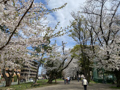 黒目川に行く前に有楽町線氷川台駅で降りて、城北中央公園を訪れました。