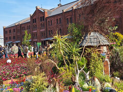 横浜赤レンガ倉庫前の広場は、
「ガーデンネックレス横浜」の会場にもなっていて、
様々な花壇が出来ていました。