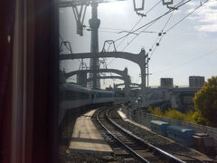 お、スカイツリー。