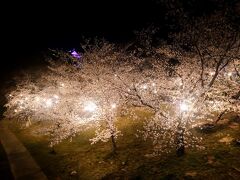 岡崎城

Apr.3
Sunny

ほぼ満開、見頃を迎えました(^^)