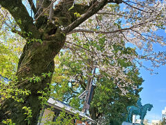 千鳥ヶ淵は一方通行だったので田安門から向かいました。
九段坂公園をとおり、元帥陸軍大将大山巌公像が見えます。