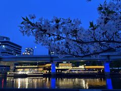 川のライトアップが美しい。対岸に見えるのはレストラン。中之島ラブセントラル。