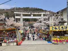 信夫山公園桜まつりが開催中で屋台に地元の人々で賑わってます