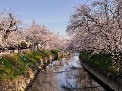 五条川

Apr.5
Sunny then cloudy

平野部では満開の超絶見頃を迎えた日に、天気も昼過ぎまでは晴れっぽいから、名古屋近郊の桜の名所を訪ねてみました(^^)