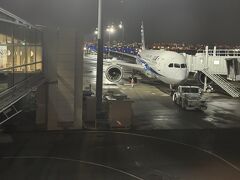 22:30発のフライト、ゲート到着は22:20だとファイナルコール。国内線の感覚ではいけませんね。遅延便からの接続客を待って少し遅れてプッシュバック。
シップは近距離アジア線バージョンの787-8