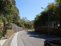 近くに龍安寺があるので行きます。
こんな道を10分ほど歩きました。