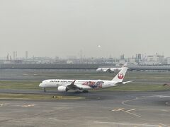 羽田空港にやってきました。
ちょうど翔平ジェットがいました。
福岡へは359で飛ぶのが一般的なので、
まだ搭乗したことのない翔平ジェットに乗れるかと期待しましたが、
この日は新千歳便でした。
これで6回ははずれています。
ちなみにハネダハウス5階の穴場のスタバから見ています。
