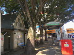 この日は北多摩を東から西へ、東村山市、東大和市、武蔵村山市と移動しました。
東村山駅の東口を出ると、志村けんの木がありました。
近くには志村けんの銅像もあります。

