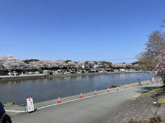 伊勢神宮内宮の横を流れる五十鈴川。
桜並木が綺麗。
