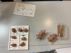 ふるさと歴史記念館