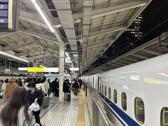 旅行は終了した。しだれ桜もよかったが、来年こそはソメイヨシノの満開を数年ぶりに体験するぞと強く誓った。