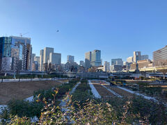 中之島公園

バラの季節がいいですね。今は寂しい