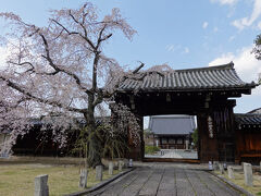 鞍馬口駅からは、西陣の桜巡り。

まず目指したのは妙覚寺。（地図の位置がちょっとずれています）