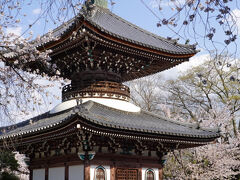 桜と多宝塔。