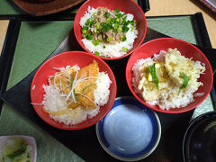 ランチは藤よしさんでおらが丼をいただきました。

3種類の丼になっています

ご飯のほうが具より多い感じ


