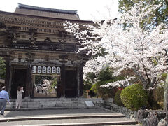 桜の名所でもある三井寺　
園城寺とも呼ばれている
