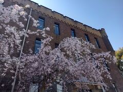 大阪城のそばにあった建物で、昭和天皇の即位を記念して昭和６年（1931年）に大阪城天守閣の再建、大阪城公園の新設とあわせて、第四師団司令部として
建設された歴史的建造物とのことでした。
そのすぐ外側に見事な枝垂れ桜が咲いていました。