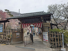 移動中、梅がキレイに咲いてる！と目に入った「不老園」に立ち寄りました。2月1日～3月下旬で開園するそうです。

無料駐車場がありましたよ～