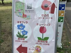立川駅から歩いて、昭和記念公園まで。
昭和記念公園で現在、チューリップが見頃です。