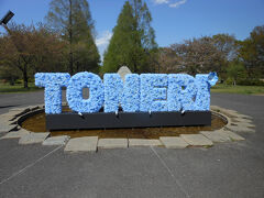 駅の階段を下り降りるとすぐに
舎人公園のオブジェTONERIがあります。
ネモフィラカラーです。