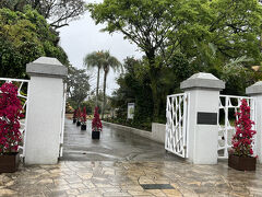 青島亜熱帯植物園