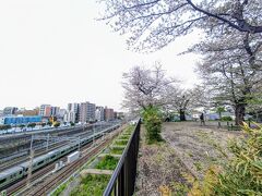 「幸ヶ谷公園」園内の桜を鑑賞。