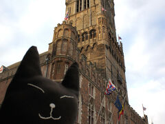 「ぜんぜんヒトがいにゃいから、広場独り占めにゃ♪」