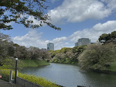千鳥ヶ淵公園の前は、半蔵濠
ボート乗り場があるところです