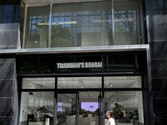"TRADMAN'S BONSAI" 
https://tradmans.jp/