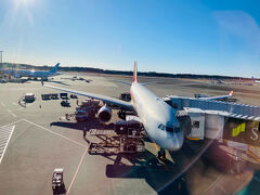 成田国際空港。
約4年振りの海外旅行でしたが、タイ、香港と初めて訪れた国でもあり、楽しめました。