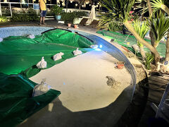 ホステルに戻るとぷーるのかいそうこうじwぴゃっておりました___急いで工事をするためか夜も工事をしておりました。