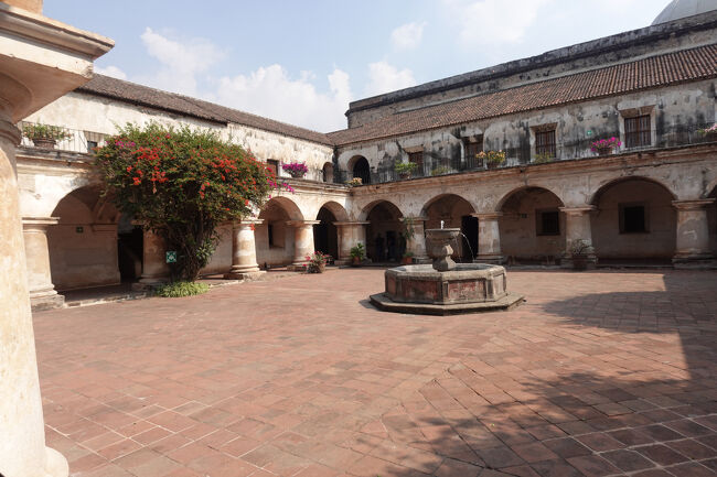 もう１つの中庭（当時のブーゲンビリアの木）