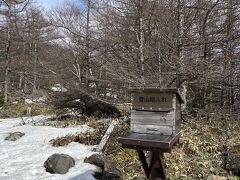 登山届を出すポスト。

我が家は主人がココヘリを使うのでネットで提出しま
す。

トイレ探しに手間取り、10時から登山スタート。