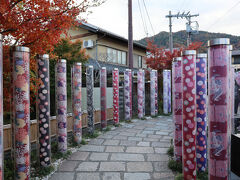 KIMONO FOREST