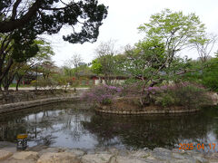 カフェの前には池があって、春らしい景観で美しかった。