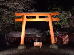 平野神社の鳥居の向こうの桜が植わっている場所の前で入場料を払ってから入りました。