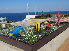 自宅に戻る途中にうみほたるで休憩で、今回も無事終了です。
