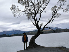 午後　雨　ワカナ湖畔のシンボルツリー