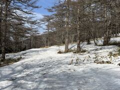 登山口までまだまだ雪は残っていましたが、傾斜がきつくないのでトレッキングシューズで下ることが出来ました。

今回は休憩含めて4時間40分、快晴の黒斑山登山と美しい浅間山のガトーショコラを堪能しました！


