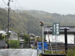 伊尾木洞シダ群落