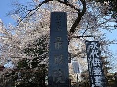 次に最勝院に来ました
弘前城と並ぶ弘前の美しい桜の名所です